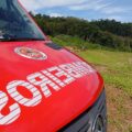 cotidiano-homem-morre-esmagado-por-arvore-enquanto-cortava-lenha-no-oeste-1-967