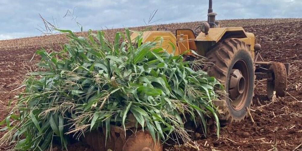 cotidiano-idoso-morre-atropelado-por-trator-em-propriedade-rural-no-oeste-2-781